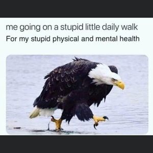 Meet your Posher, Shae